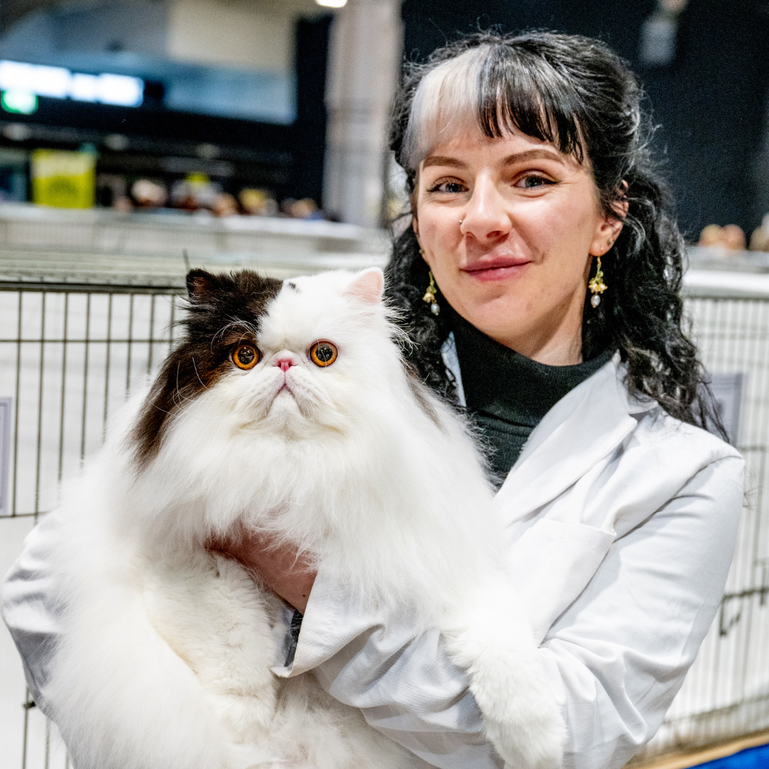 A GCCF judge with a cat